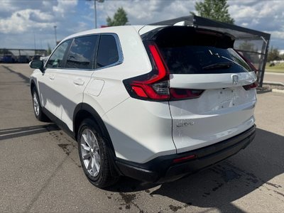 2024 Honda CR-V in Calgary, Alberta