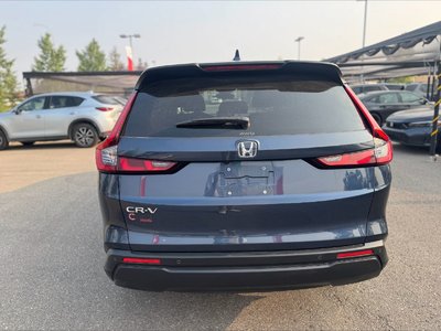 2024 Honda CR-V in Calgary, Alberta