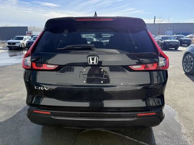 Honda CR-V  2024 à Calgary, Alberta
