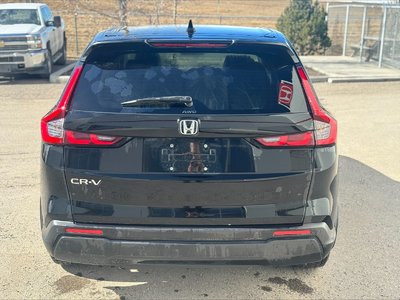 Honda CR-V  2024 à Calgary, Alberta
