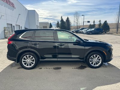 Honda CR-V  2024 à Calgary, Alberta
