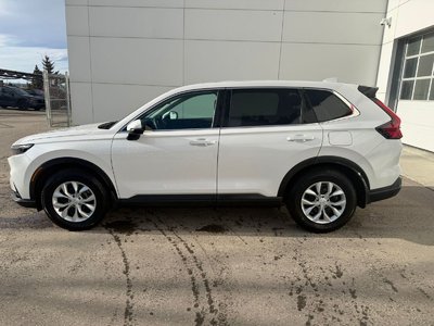 2024 Honda CR-V in Calgary, Alberta