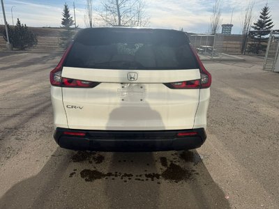 2024 Honda CR-V in Calgary, Alberta