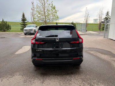 2024 Honda CR-V in Calgary, Alberta