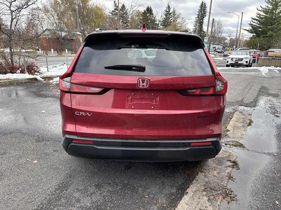 2025 Honda CR-V in Calgary, Alberta