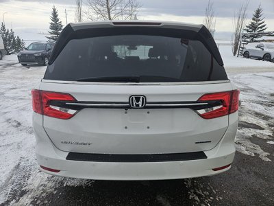Honda Odyssey  2024 à Calgary, Alberta