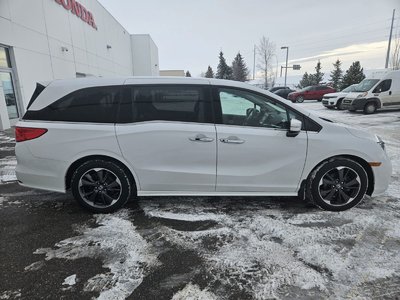 Honda Odyssey  2024 à Calgary, Alberta