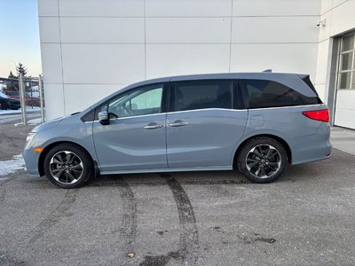 2024 Honda Odyssey in Calgary, Alberta