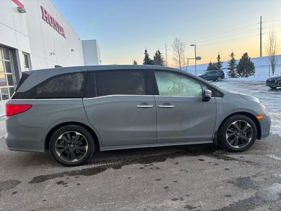 2024 Honda Odyssey in Calgary, Alberta