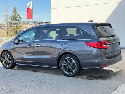 Honda Odyssey  2024 à Calgary, Alberta