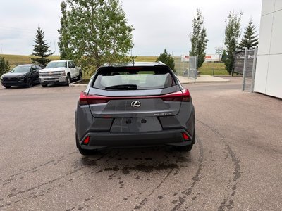 2025 Lexus UXh in Calgary, Alberta