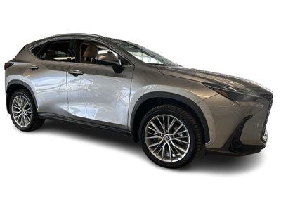 2024 Lexus NX in Dorval, Quebec