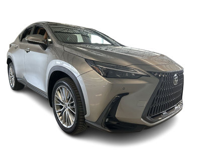 2024 Lexus NX in Dorval, Quebec