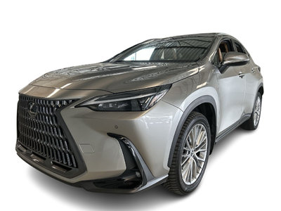 2024 Lexus NX in Dorval, Quebec