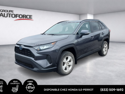 Toyota RAV4 Hybrid LE 2021 2021 *HYBRIDE*