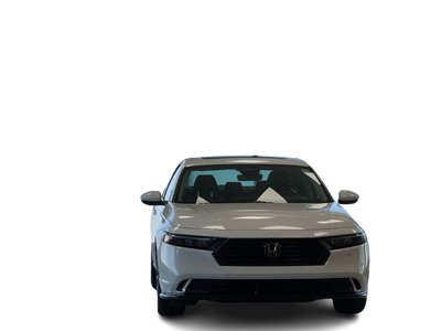 2025 Honda Accord in Regina, Saskatchewan
