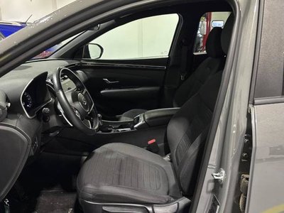 2024 Hyundai Santa Cruz in Regina, Saskatchewan