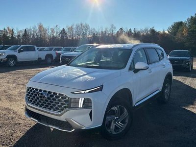 2022 Hyundai Santa Fe in Regina, Saskatchewan