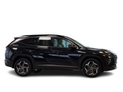 2024 Hyundai Tucson Hybrid in Regina, Saskatchewan