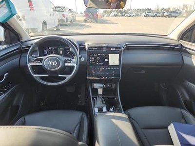 2024 Hyundai Tucson in Regina, Saskatchewan