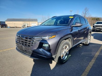 2024 Hyundai Tucson in Regina, Saskatchewan
