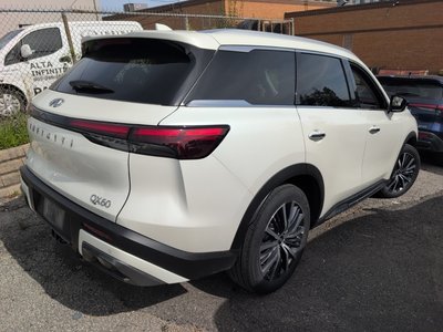 Infiniti QX60  2024 à Regina, Saskatchewan