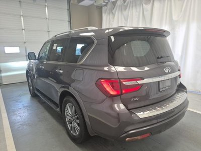 2024 Infiniti QX80 in Regina, Saskatchewan