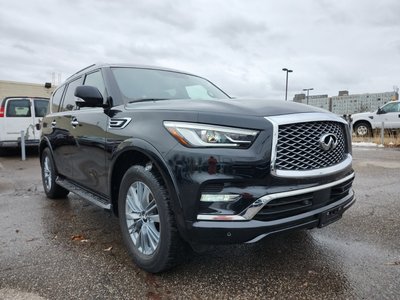 Infiniti QX80  2024 à Regina, Saskatchewan