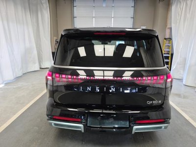 Infiniti QX80  2025 à Regina, Saskatchewan