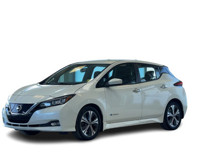 2018 Nissan Leaf in Regina, Saskatchewan