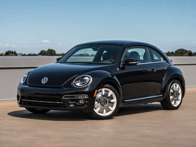 Beetle