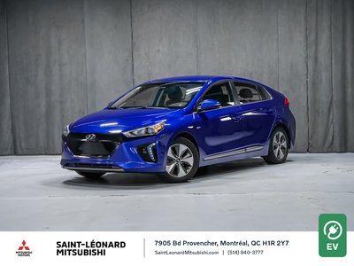 Hyundai Ioniq Electric  2019