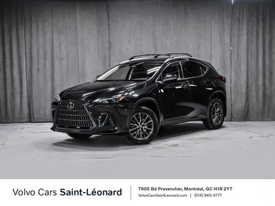 Lexus NX  2023