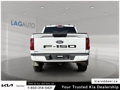 2025 Ford F-150 STX — photo 4