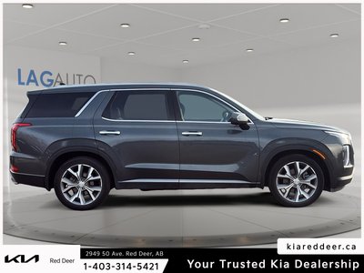 2021 Hyundai Palisade Luxury — photo 6