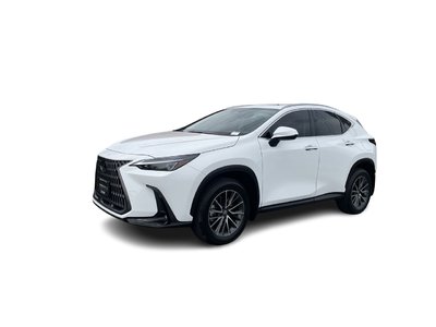 2026 Lexus NX in Langley, British Columbia