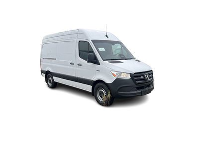 2025 Mercedes-Benz ESprinter in Langley, British Columbia