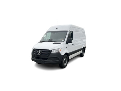 2025 Mercedes-Benz ESprinter in Langley, British Columbia