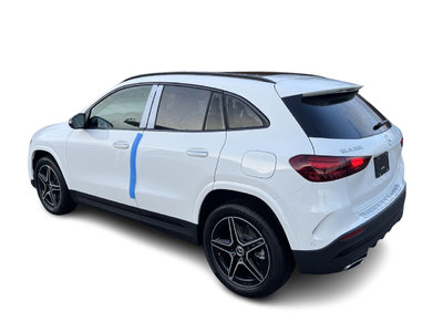 2025 Mercedes-Benz GLA in Langley, British Columbia