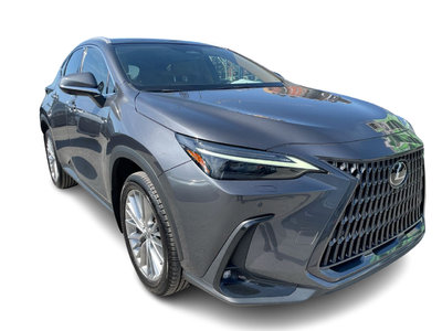 2023 Lexus NX in Laval, Quebec