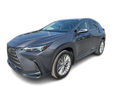 2023 Lexus NX in Laval, Quebec