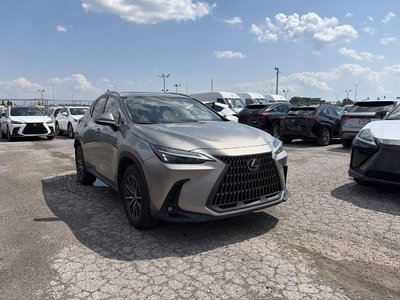 2025 Lexus NX in Laval, Quebec