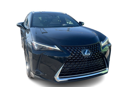 2024 Lexus UX 250h in Laval, Quebec