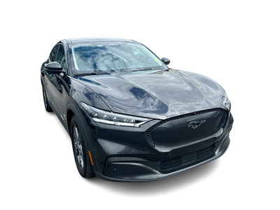 2022 Ford Mustang in Markham, Ontario