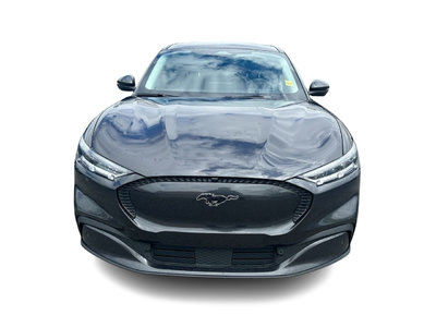 2022 Ford Mustang in Markham, Ontario