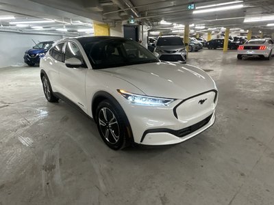 2021 Ford Mustang in Markham, Ontario