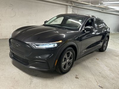 2022 Ford Mustang in Markham, Ontario