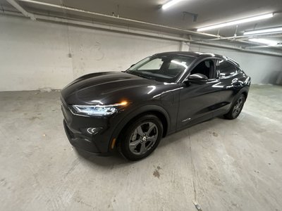 2022 Ford Mustang in Markham, Ontario