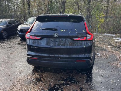 2024 Honda CR-V in Markham, Ontario