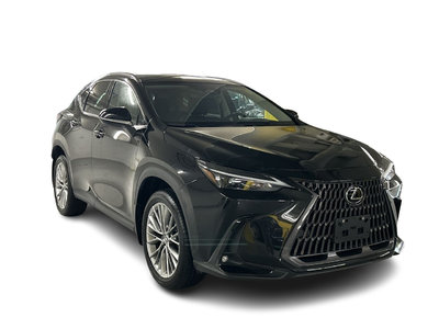 2022 Lexus NX in Markham, Ontario